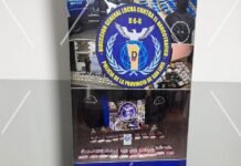 Tras un allanamiento, la Policía detuvo a una mujer y secuestró armas de fuego y marihuana valuada en $14 millones