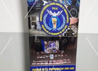 Tras un allanamiento, la PolicÃa detuvo a una mujer y secuestró armas de fuego y marihuana valuada en $14 millones
